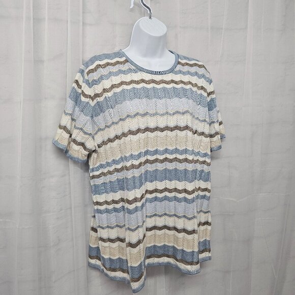 Vintage Alfred Dunner Blue Tan Chevron Striped Short Sleeve Sweater Pointelle 2X - Picture 4 of 11